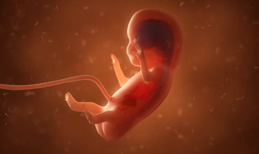 O mercado clandestino de fetos abortados está sendo denunciado pelo ativista David Daleiden nos EUA. (Foto: Getty Immages)