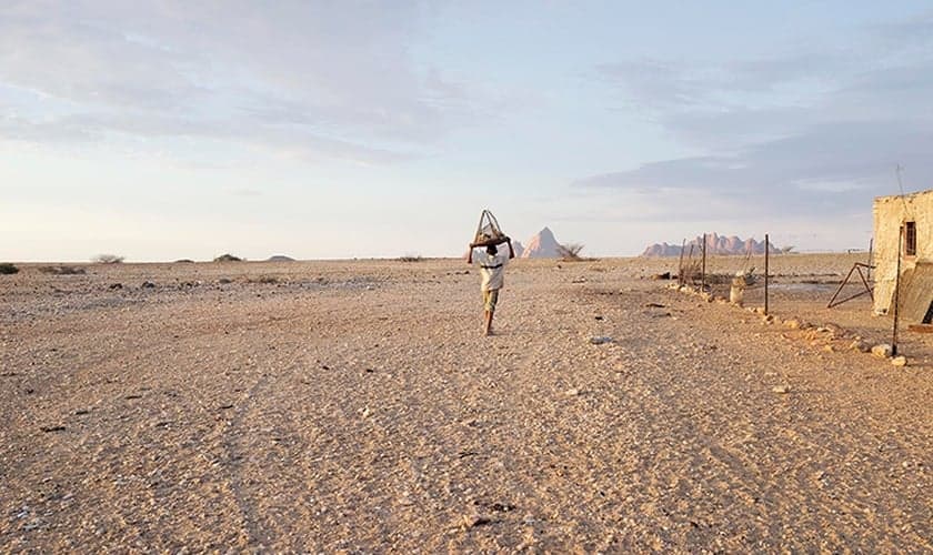 (Foto: Margaret Courtney-Clarke)