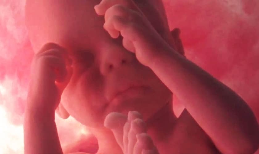 (Foto: Reprodução/Davidould)