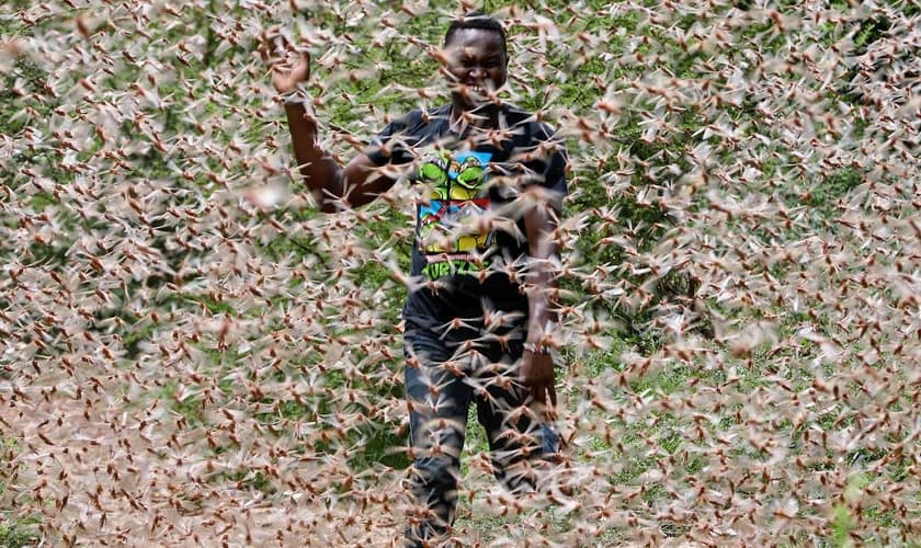 Agricultores estão travando uma intensa batalha para defender suas plantações dos gafanhotos. (Foto: Dai Kurokawa/EPA)