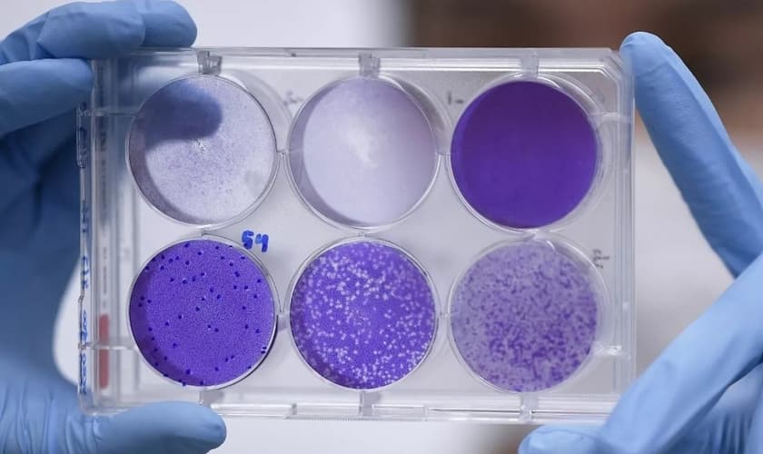 Material usado na pesquisa de uma vacina para o Covid-19 em Belo Horizonte, em imagem de 26 de março de 2020. (Foto: Douglas Magno/AFP)