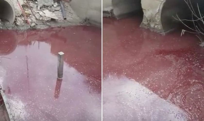 Água ensanguentada na estação de tratamento de Yad Hanna, em 14 de abril de 2020. (Foto: Alon Heyman)