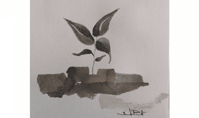 (Ilustração: Saulo Porto)