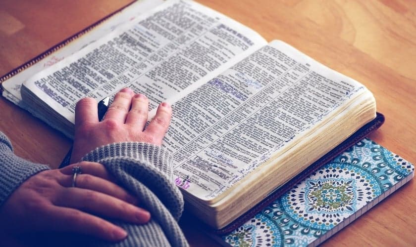 Bíblia foi livro mais vendido em 2020. (Foto: Reprodução / Pixabay)