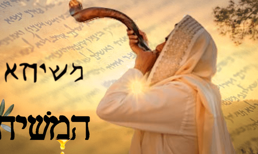 (Foto: Shema Ysrael)