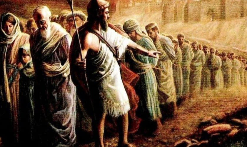 (Foto: Reprodução)