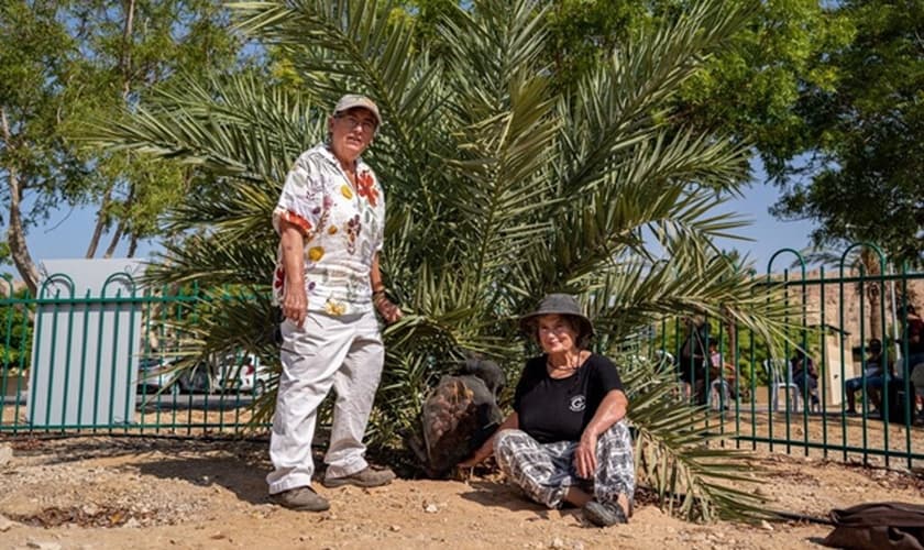 Dra. Elaine Solowey (à esquerda) com a tamareira que germinou de uma semente do período de Jesus. (Foto: Marcos Schonholz)
