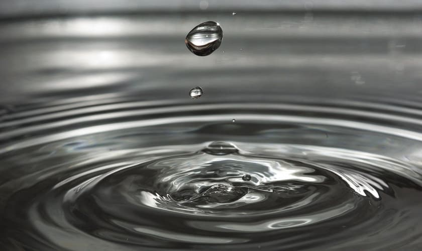 (Foto: Claudia Wollesen / Pixabay)