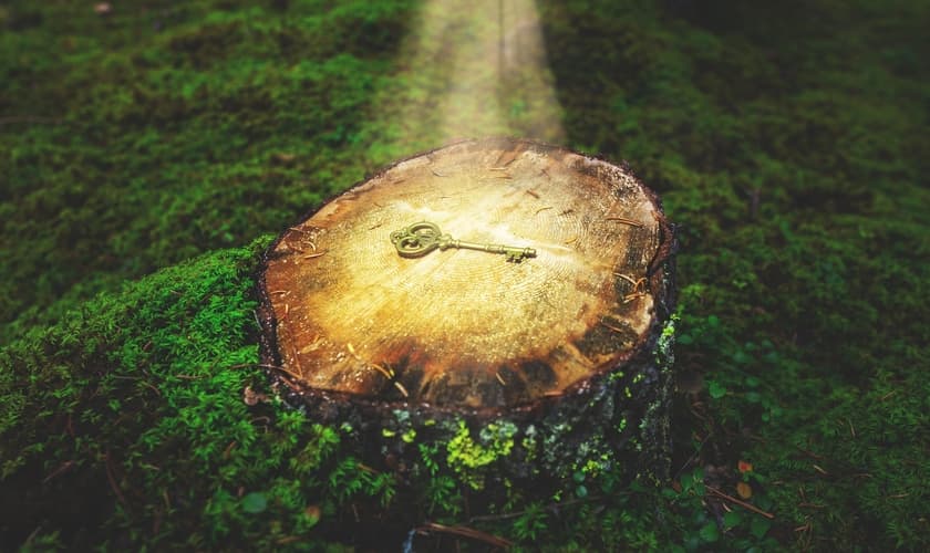 (Foto: Joshua Woroniecki / Pixabay)