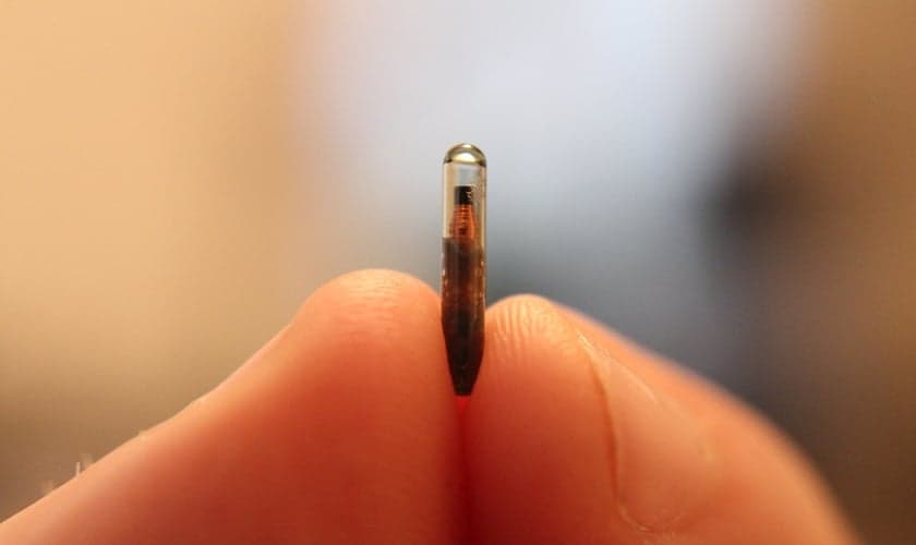 Microchip. (Foto: Dan Lane/Flickr)