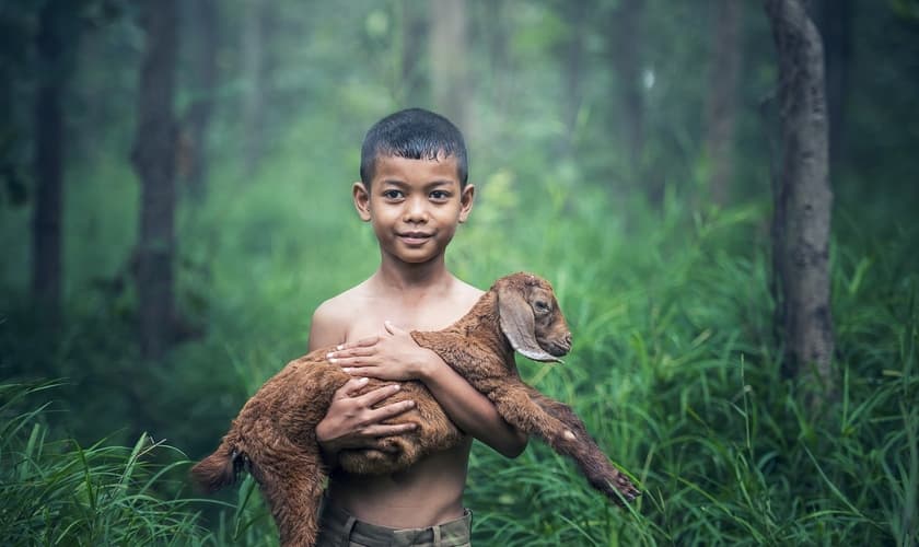 (Foto: Sasint / Pixabay)