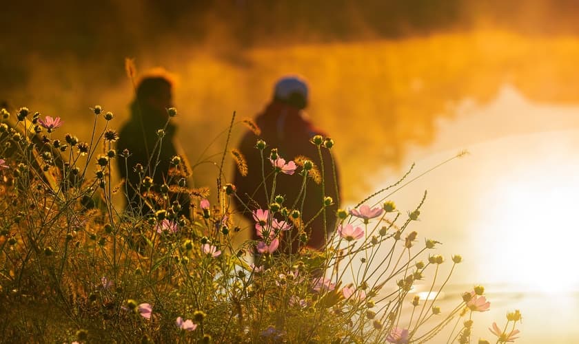 (Foto: chulmin1700 / Pixabay)