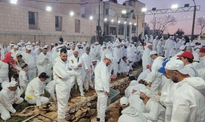 Sacrifício de animais na Páscoa. (Foto: Conselho de Samaria/Roi Hadi)