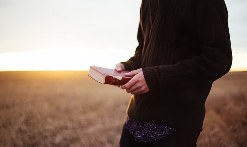 No segundo domingo de junho é comemorado o Dia do Pastor. (Foto representativa: Unsplash)