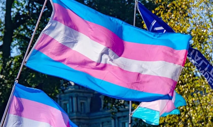 Bandeira transgênero. (Foto: Ted Eytan/Creative Commons)
