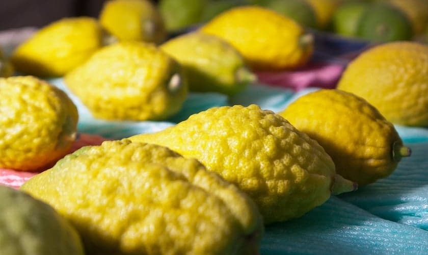 (Foto: Mazkeret Batia, Israel/Creative Commons)