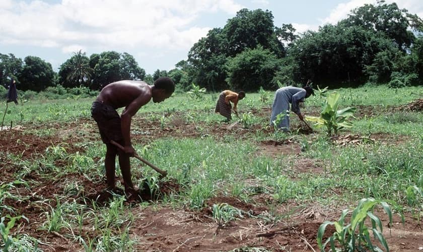 David passou a noite em uma floresta, com dor intensa, fome e sede até o encontrarem. (Foto: International Christian Concern).