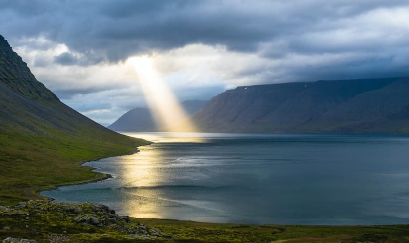 (Foto: Davide Cantelli/Unsplash)