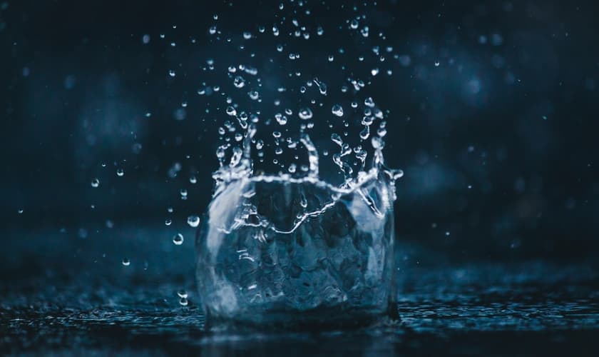 (Foto: Amadej Tauses/Unsplash)