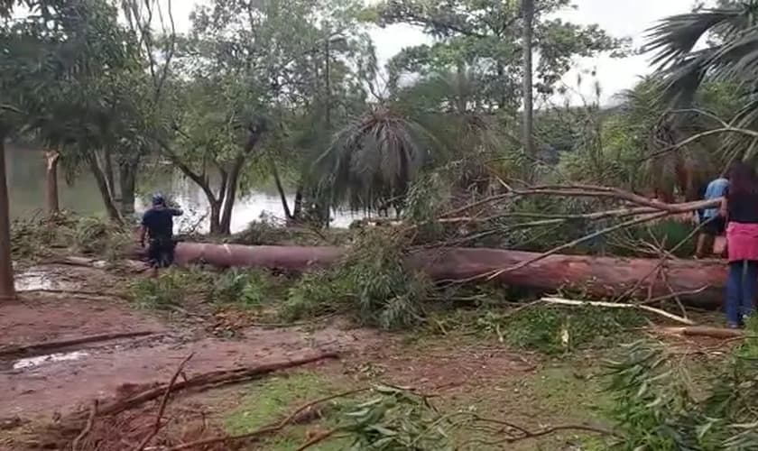 A tragédia aconteceu no parque Lagoa do Taquaral, na terça-feira (24). (Foto: Reprodução/EPTV).