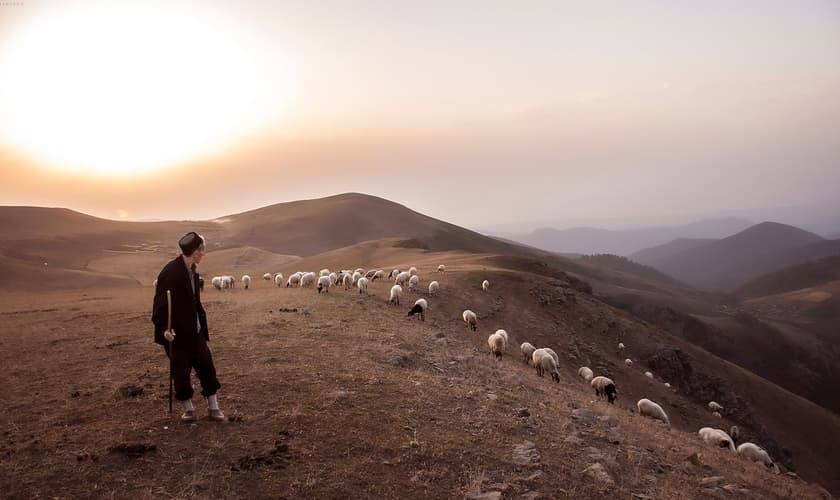 (Foto: Unsplash/Peyman Toodari)