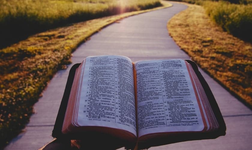 (Foto: Unsplash/Aaron Burden)