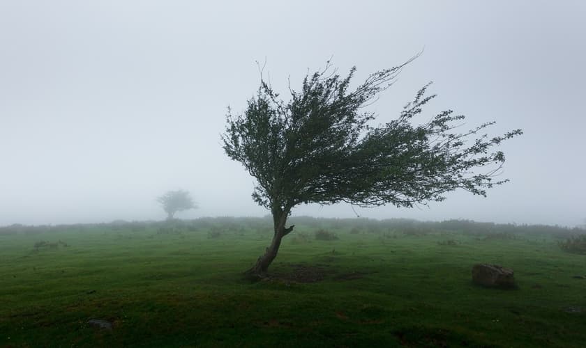 (Foto: Unsplash/Khamkéo Vilaysing)