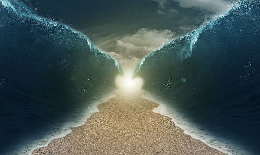 (Foto: Wallpaper Flare)