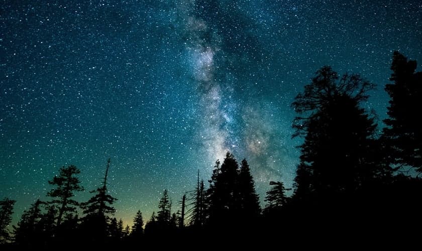 (Foto: Unsplash/Casey Horner)