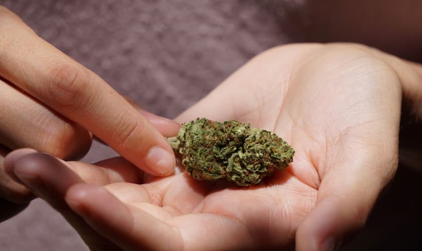 Discussão volta ao STF após 7 anos. (Foto: Unsplash/Elsa Olofsson)