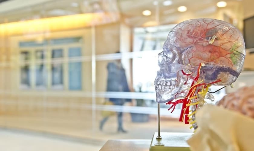 Elon Musk anuncia aprovação para implante de chip cerebral em humanos. (Foto: Unsplash/Jesse Orrico)