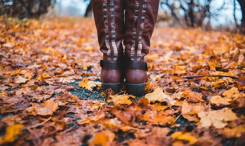 (Foto: Erik Mclean/Unsplash)