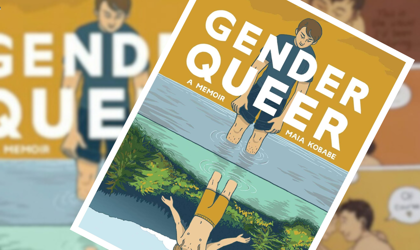 Capa do livro “Gender Queer”, que traz ilustrações sexuais explícitas. (Montagem Guiame: divulgação)