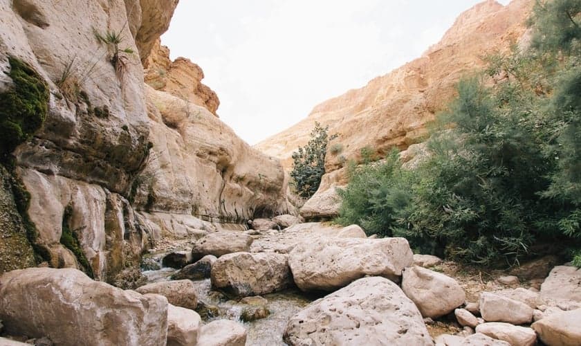 Galileia. (Foto: Imagem ilustrativa/Unsplash/Robert Bye).