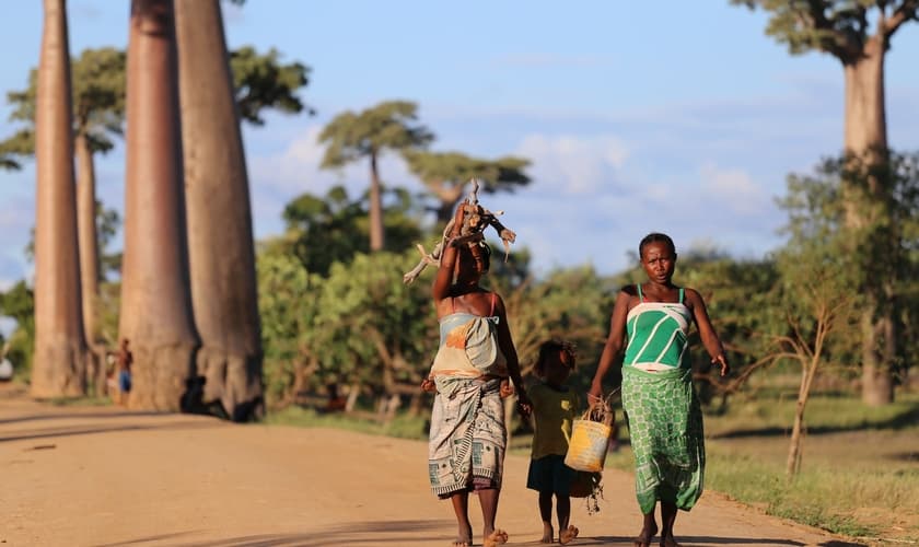 Moradores de região remota podem ter acesso à saúde. (Foto: Ilustrativa/Unsplash/2Photo Pots)
