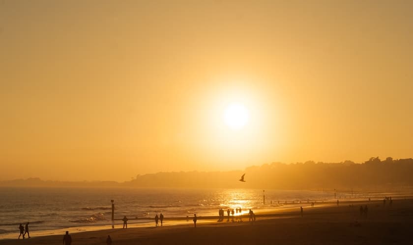 (Foto: Imagem ilustrativa/Unsplash/Tomas Kostadinov).