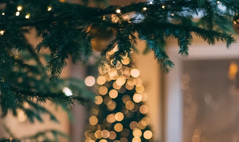 (Foto: Unsplash/Mourad Saadi)