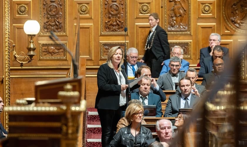 Imagem de um debate no Senado na França, novembro de 2023. (Foto: Facebook/Senado da França).