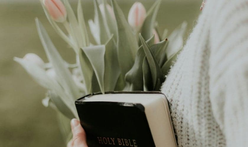 (Foto: Unsplash/Priscilla Du Preez)