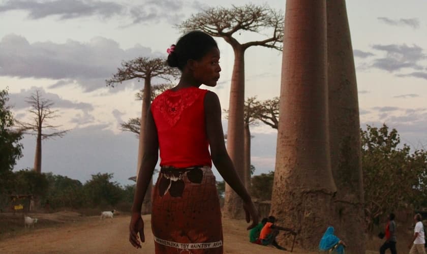 Imagem ilustrativa. (Foto: Unsplash/gemmafjam).