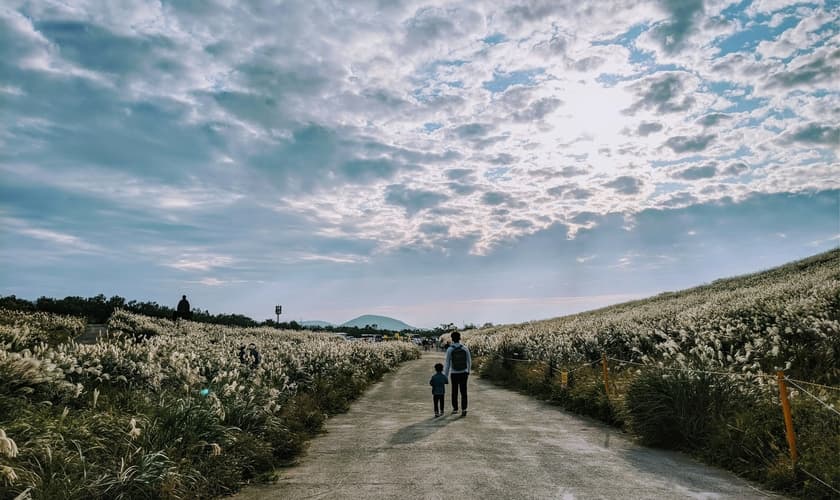 (Foto: Unsplash/Ben Kim)