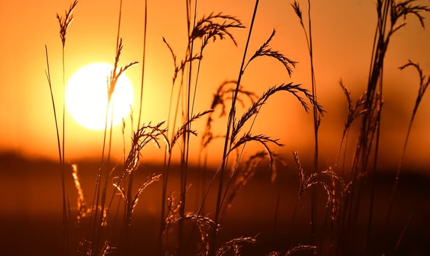 (Foto: Pexels/Jacob Kinneman)