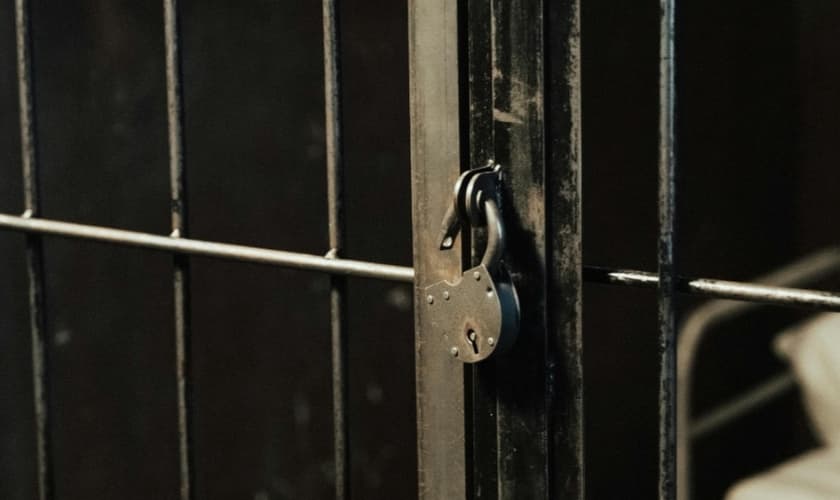 Imagem ilustrativa. (Foto: Pexels/Ron Lach).