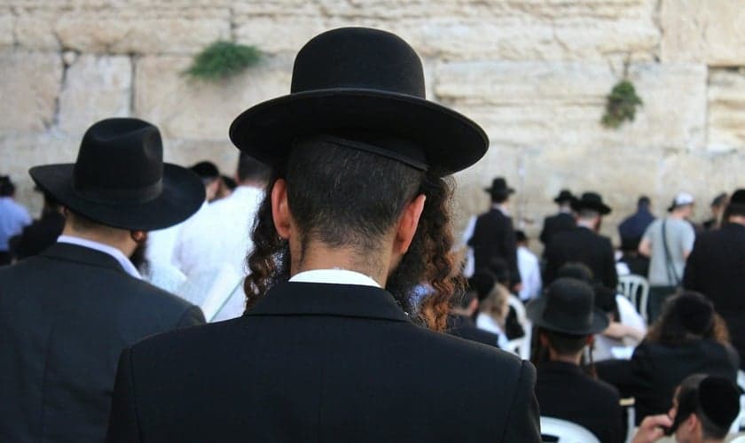 As denúncias diárias passaram de uma em 2022 para cinco em 2024. (Foto ilustrativa: Unsplash/Miguel Baixauli)