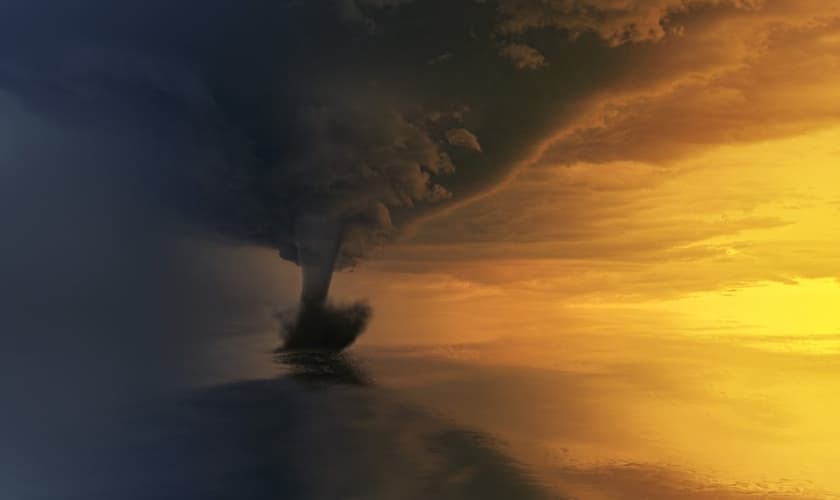 (Foto: Pexels/Johannes Plenio)