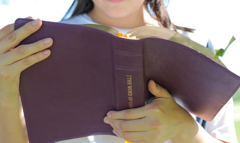 Imagem ilustrativa. (Foto: Unsplash/Humble Lamb).