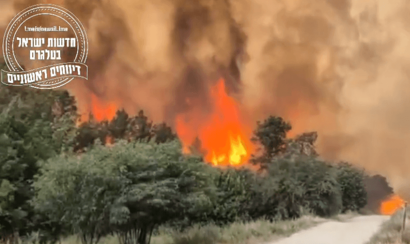 Incêndios suspeitos se espalham perto de Jerusalém. (Captura de tela/Instagram/jewishbreakingnews)