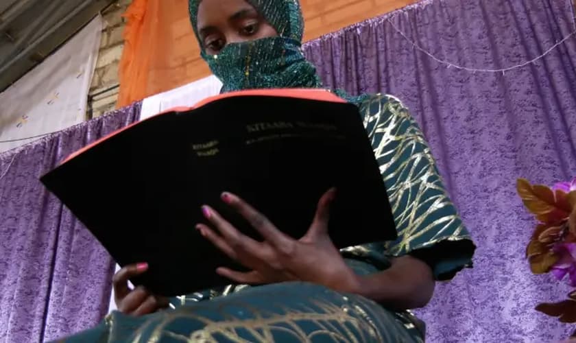 Imagem Ilustrativa. (Foto: Reprodução/Portas Abertas)