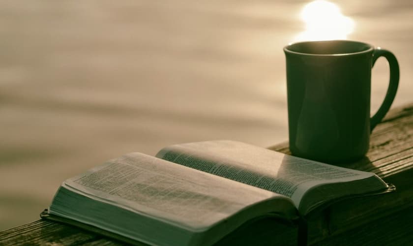 Imagem Ilustrativa. (Foto: Reprodução/Unsplash/Aaron Burden)