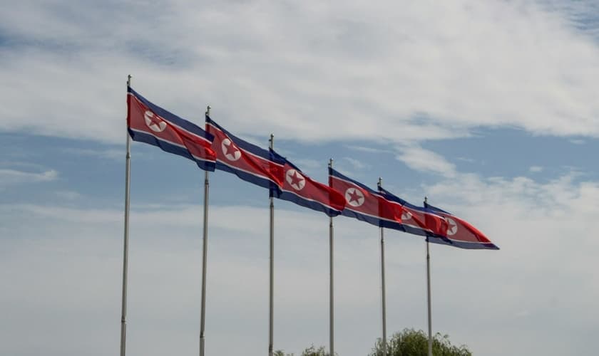 Imagem Ilustrativa. (Foto: Reprodução/Unsplash/Micha Brändli)